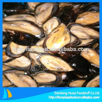 Frozen Cooked Half Shell Mussel